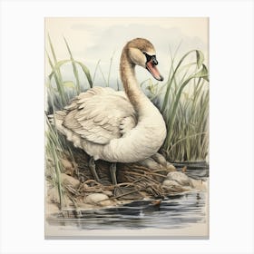 Storybook Animal Watercolour Swan 3 Canvas Print
