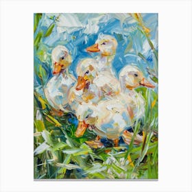 Ducks In The Grass Canvas Print