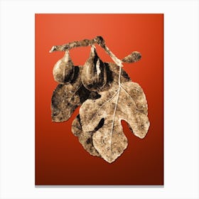 Gold Botanical Fig on Tomato Red n.3573 Canvas Print