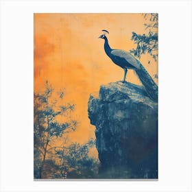 Orange & Blue Peacock On A Rock 2 Canvas Print