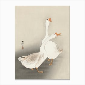 Two Geese (1900 1930), Ohara Koson Canvas Print