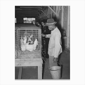 Woker Watering Chickens At South Louisiana State Fair, Donaldsonville, Louisiana By Russell Lee Canvas Print