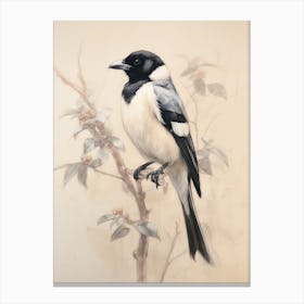 Vintage Bird Drawing Magpie 1 Canvas Print