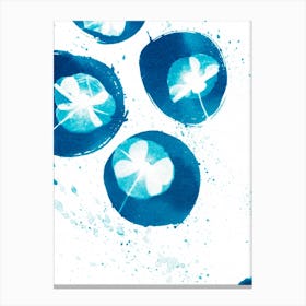 Blue Poppy Circles Canvas Print