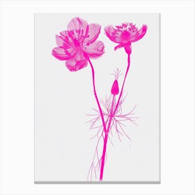 Hot Pink Nigella 1 Canvas Print