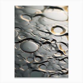 Water Droplets Canvas Print