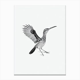 Roadrunner B&W Pencil Drawing 1 Bird Canvas Print