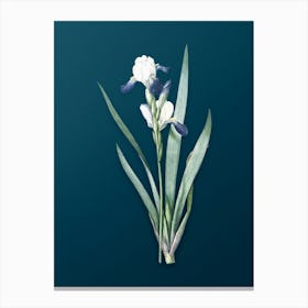 Vintage Tall Bearded Iris Botanical Art on Teal Blue n.0974 Canvas Print