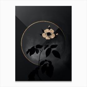 Shadowy Vintage Big Leaved Climbing Rose Botanical in Black and Gold n.0023 Canvas Print
