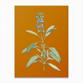 Vintage Sage Plant Botanical on Sunset Orange n.0477 Canvas Print