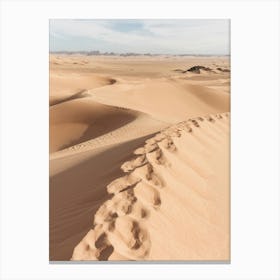 Walking through the Sahara desert Canvas Print