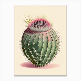Pincushion Cactus Retro Drawing Canvas Print
