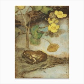 Frog With Marsh Marigold (1880 1937) Canvas Print