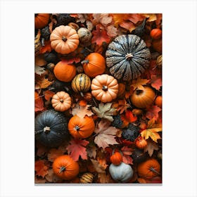 The Pumpkin Harvest 5 Canvas Print