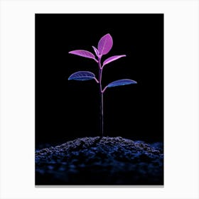 Plant Growing Out Of The Ground 4 Canvas Print