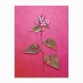 Vintage Morning Glory Flower Botanical Art on Beetroot Purple Canvas Print
