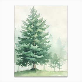 Douglas Fir Tree Atmospheric Watercolour Painting 3 Canvas Print
