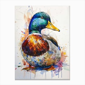 Mallard Duck Colourful Watercolour 3 Canvas Print