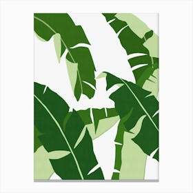 Green tropical leaves 2 Canvas Print