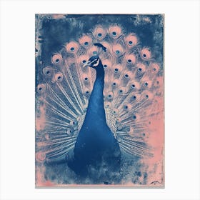 Pink & Blue Peacock Cyanotype Inspired Canvas Print