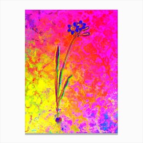 Galaxia Ixiaeflora Botanical in Acid Neon Pink Green and Blue Canvas Print