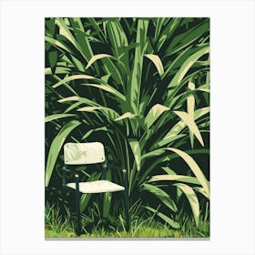 Chair In The Grass Canvas Print