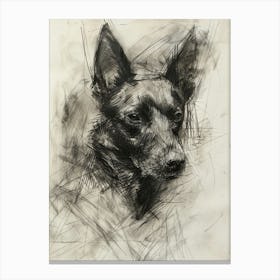 Belgian Laekenois Dog Charcoal Line 2 Canvas Print