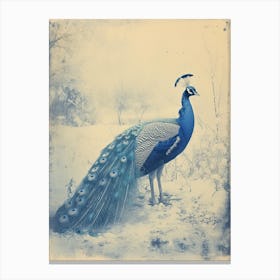Cyanotype Inspired Peacock Snow Scene 3 Canvas Print