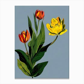 Tulips 6 Canvas Print