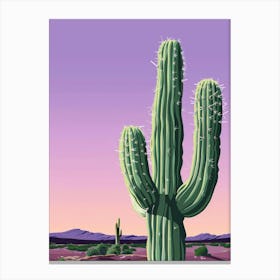 Cactus At Sunset Canvas Print