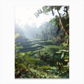 Rice Terraces In Bali Canvas Print