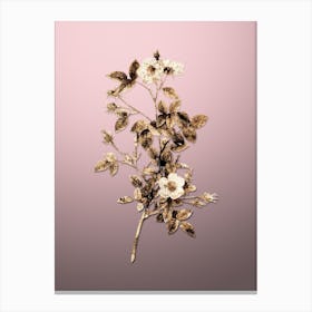 Gold Botanical Pink Pompon Rose on Rose Quartz Canvas Print