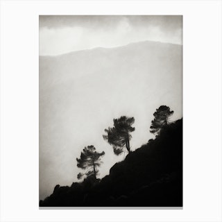 Mountainside Trees Canvas Print