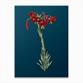 Vintage Lily Botanical Art on Teal Blue n.0582 Canvas Print