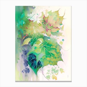 Pacific Poison Ivy Pop Art 1 Canvas Print