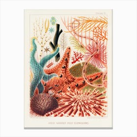 Vintage Great Barrier Reef Canvas Print