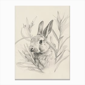 Argente Rabbit Drawing 4 Canvas Print