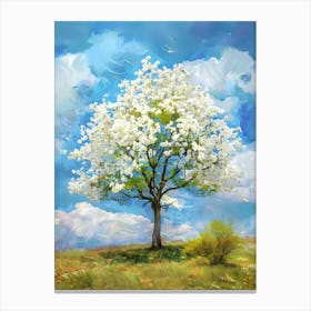 White Dogwood Tree Canvas Print