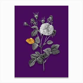 Vintage Pink Agatha Rose Black and White Gold Leaf Floral Art on Deep Violet n.0949 Canvas Print