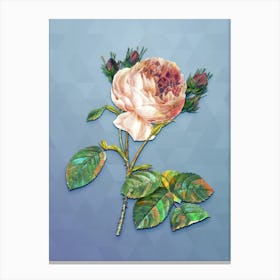 Vintage Centifolia Roses Botanical Art on Summer Song Blue Canvas Print