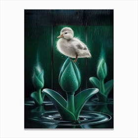 Duck In The Rain Canvas Print