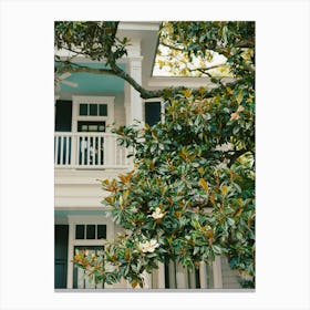 Charleston Magnolia Tree on Film Canvas Print