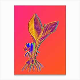 Neon Koemferia Longa Botanical in Hot Pink and Electric Blue n.0015 Canvas Print