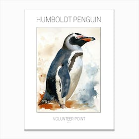 Humboldt Penguin Volunteer Point Watercolour Painting 3 Poster Canvas Print
