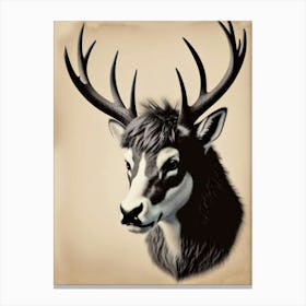 Deer Head 9 Canvas Print
