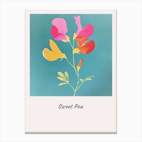 Sweet Pea 1 Square Flower Illustration Poster Canvas Print