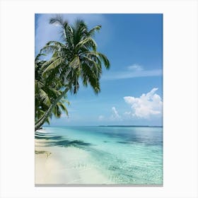 Tropical Beach With Palm Trees 1 Canvas Print