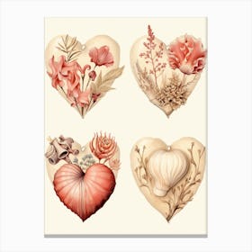 Shell Heart & Plants Vintage Sepia Canvas Print
