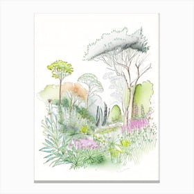 Dubrovnik Arboretum, Croatia Vintage Pencil Drawing Canvas Print