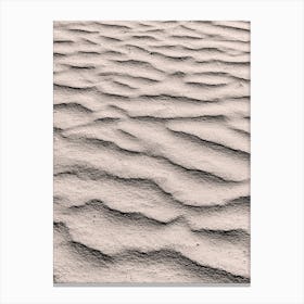 Sand Dunes Canvas Print
